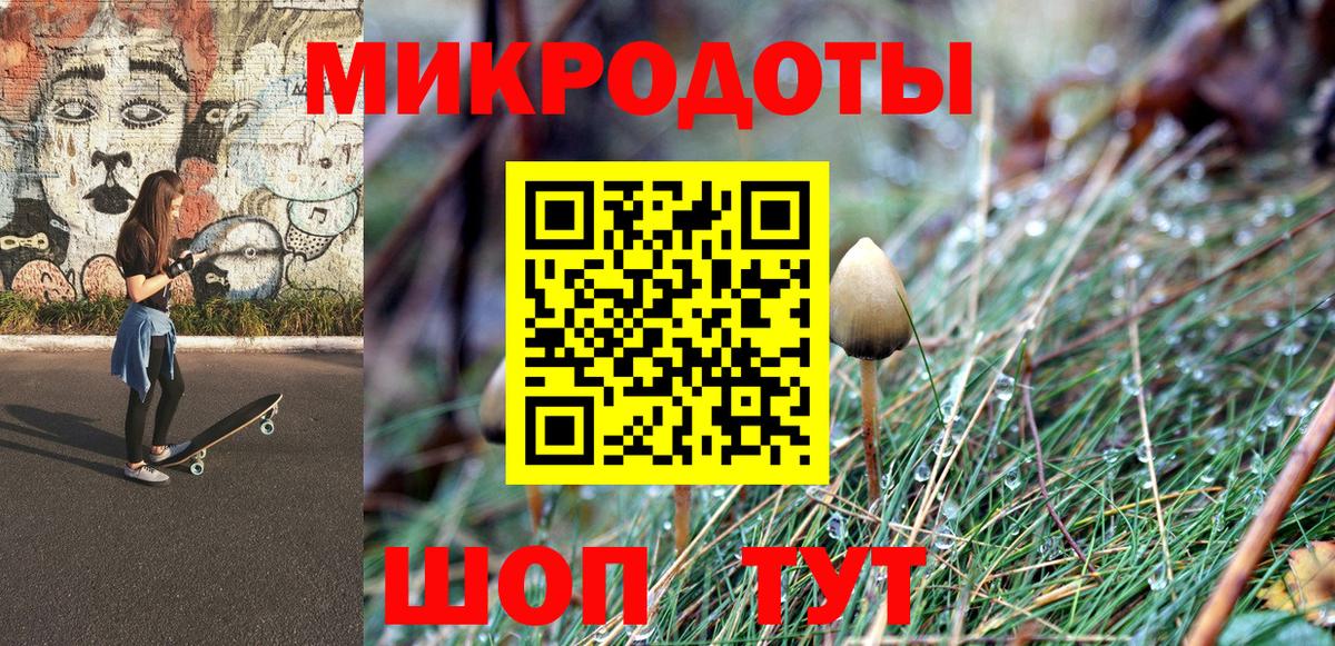Железногорск  Псилоцибиновые грибы Psilocybe  Вход с VPN 